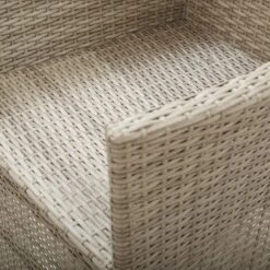 VidaXL - Tuinstoelen - Beige - Poly Rattan - 2 Stuks - Met Kussens -LeenBakker Winkel 0084df248cdb4a06af6329a683e810bf