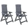 VidaXL Tuinstoelen 2 St Verstelbaar Kunststof Antracietkleurig -LeenBakker Winkel 1000006340