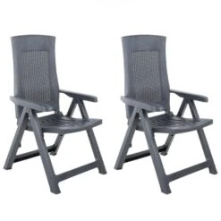 VidaXL Tuinstoelen 2 St Verstelbaar Kunststof Antracietkleurig