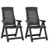 VidaXL Tuinstoelen 2 St Verstelbaar Kunststof Antracietkleurig -LeenBakker Winkel 1000006375