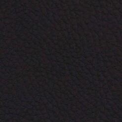 VidaXL Eetkamerstoelen 2 St Kunstleer Zwart -LeenBakker Winkel 1000057821 0102