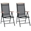 VidaXL - Tuinstoelen - Zwart - Aluminium En Textileen - 2 Stuks - Inklapbaar -LeenBakker Winkel 1000162960