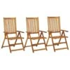VidaXL - Tuinstoelen - Bruin - Acaciahout - 3 Stuks - Verstelbaar -LeenBakker Winkel 1000163247