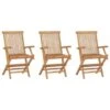VidaXL - Tuinstoelen - 3 Stuks - Massief Teakhout - Inklapbaar -LeenBakker Winkel 1000163248