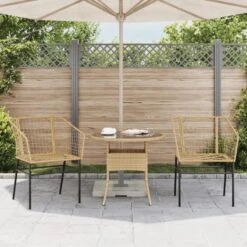 VidaXL - Terrasstoel - Bruin - Poly Rattan En Staal - 2 Stuks -LeenBakker Winkel 10b1eaaede9d411d808b93a6d386992a