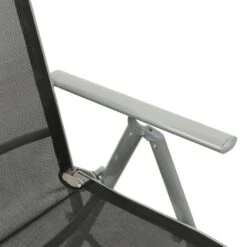 VidaXL - Tuinstoelen - Zilverkleurig - Aluminium - 2 Stuks - Verstelbaar -LeenBakker Winkel 404b2dc9e6d1402daa8069ce5a53f316
