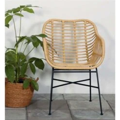 Lisomme Dax Rotan Tuinstoel Naturel -LeenBakker Winkel 49d60ca288f74220980d5490841b5c2c
