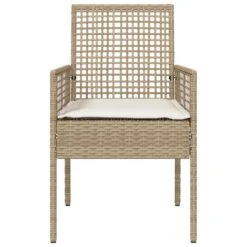VidaXL - Tuinstoel - Beige - Poly Rattan - 53 X 60 X 85cm -LeenBakker Winkel 7569e39242824f93b6bd30134ede06fe