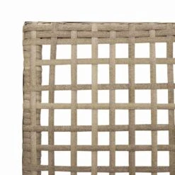 VidaXL - Tuinstoel - Beige - Poly Rattan - 53 X 60 X 85cm -LeenBakker Winkel 89de3a0661c2416d9a1a17e3b4cf5323