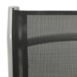 VidaXL - Tuinstoelen - Zilverkleurig - Aluminium - 2 Stuks - Verstelbaar -LeenBakker Winkel b0e22ee6fecd49939086a7c423e68273