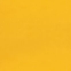 VidaXL - Slaapbank 2-zits - Geel - Fluweel - Met Kussens 22 VidaXL - Slaapbank 2-zits - Geel - Fluweel - Met Kussens -LeenBakker Winkel c6414dfdb83a4c3f80d20a62adb6fe56