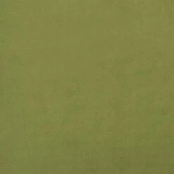 VidaXL Kruk Met Houten Poten Fluweel Lichtgroen 9 VidaXL Kruk Met Houten Poten Fluweel Lichtgroen -LeenBakker Winkel cd559b4170d84d2387d029f64c2b11bb