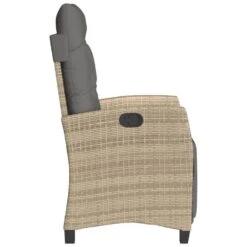 VidaXL - Tuinstoel Verstelbaar Met Voetensteun - Beige - Poly Rattan -LeenBakker Winkel ee0b5672b71c4768ab263c4969756ed3