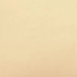 VidaXL - Voetenbank - Crème - Fluweel -LeenBakker Winkel fc0dfaf600e44f95bd5a9b8b715e2527